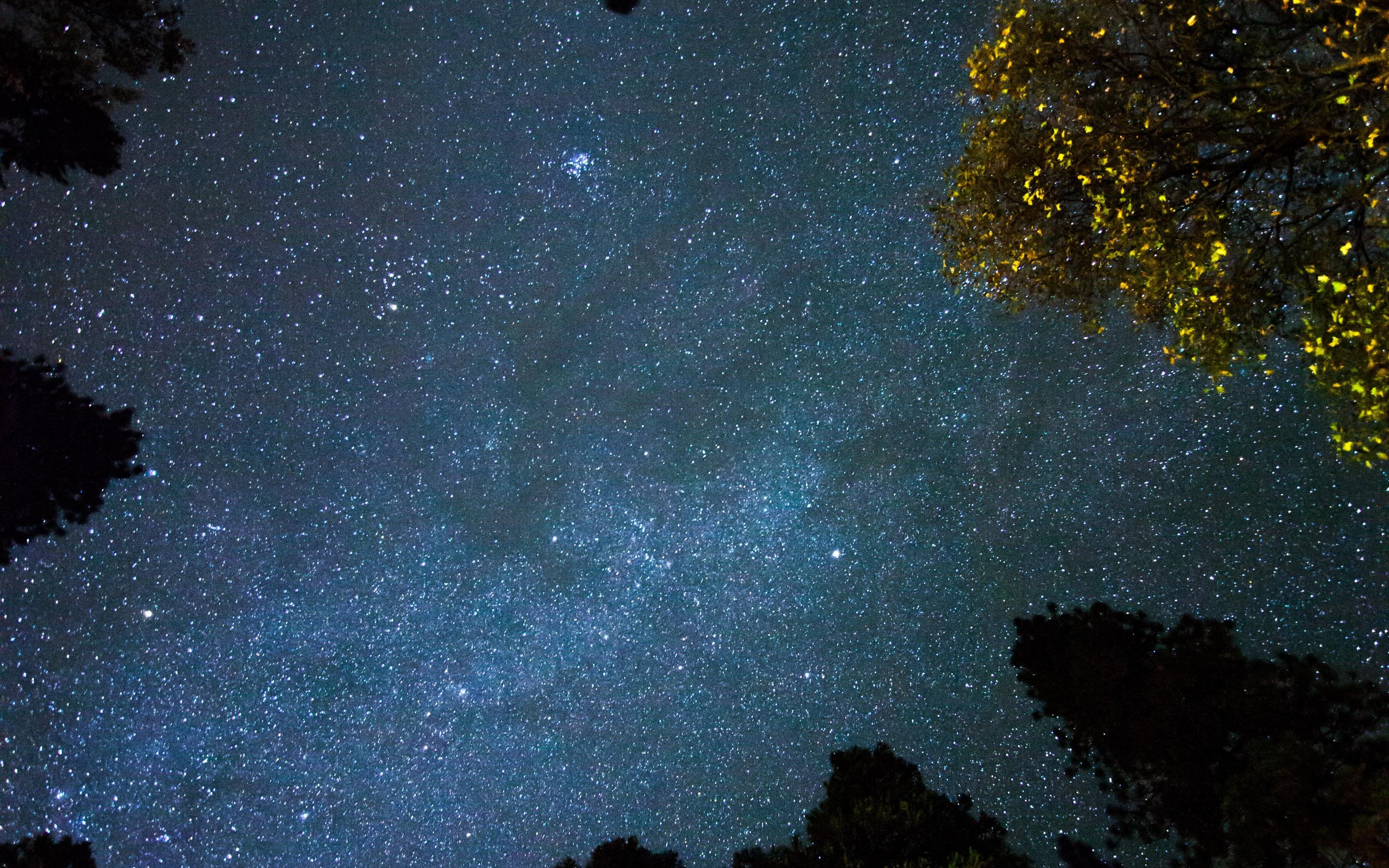 A photo of the sky taken at night
